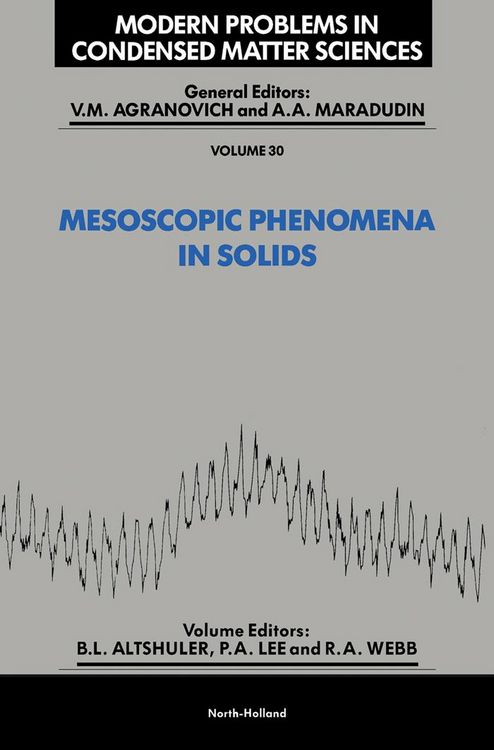 Produktbild: Mesoscopic Phenomena in Solids