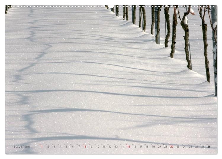 Produktbild: Im Baden-Badener Rebland 2026 (Wandkalender 2026 DIN A2 quer), CALVENDO Monatskalender