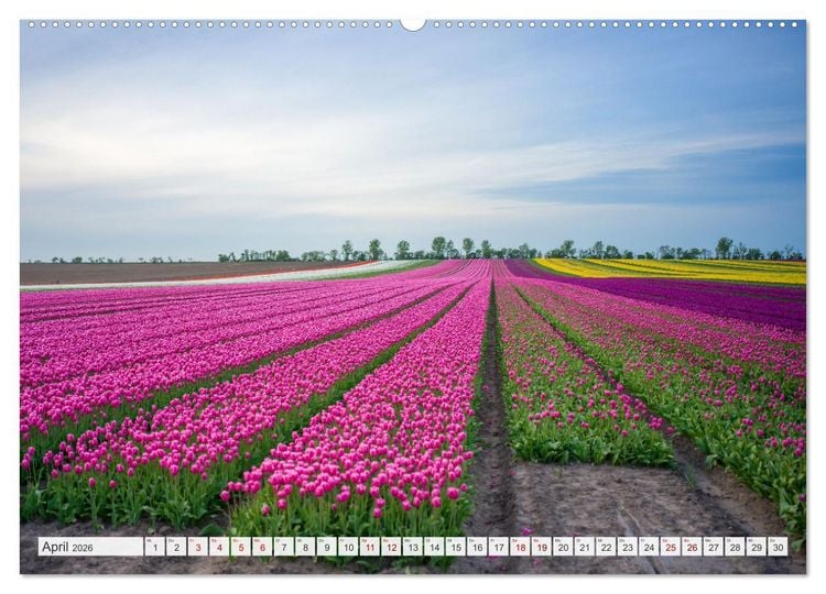 Produktbild: Sachsen-Anhalt - Eine Sch&ouml;nheit in der Mitte Deutschlands (hochwertiger Premium Wandkalender 2026 DIN A2 quer), Kunstdruck in Hochglanz