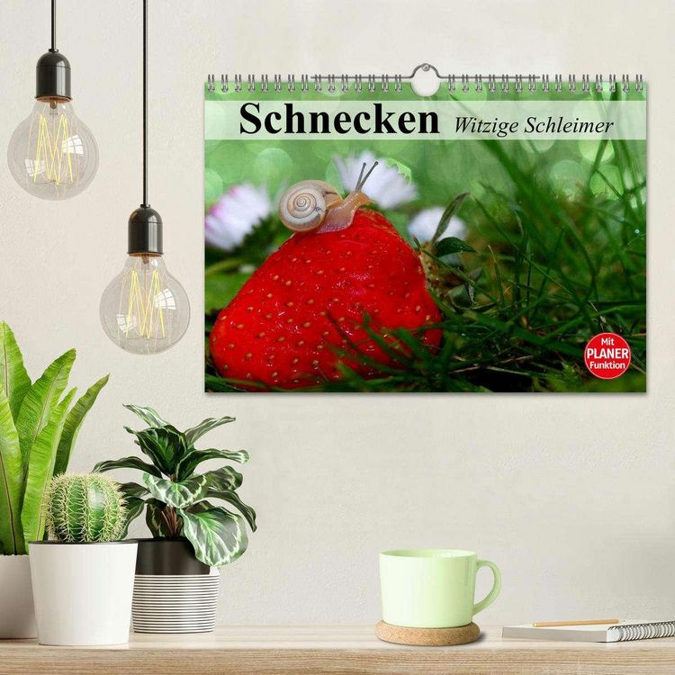 Produktbild: Schnecken. Witzige Schleimer (Wandkalender 2026 DIN A4 quer), CALVENDO Monatskalender