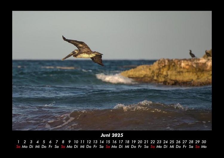 Produktbild: Meereslandschaft 2025 Fotokalender DIN A3
