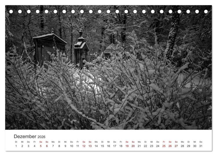 Produktbild: Wachgek&uuml;sst - Vom Zauber der Vergangenheit - S&uuml;dwestkirchhof Stahnsdorf (Tischkalender 2026 DIN A5 quer), CALVENDO Monatskalender