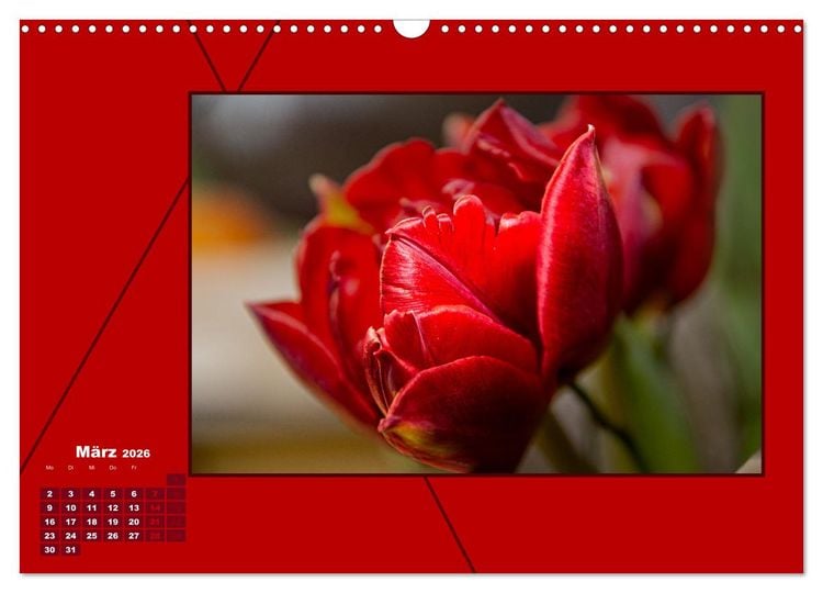 Produktbild: Powerfarbe Rot (Wandkalender 2026 DIN A3 quer), CALVENDO Monatskalender