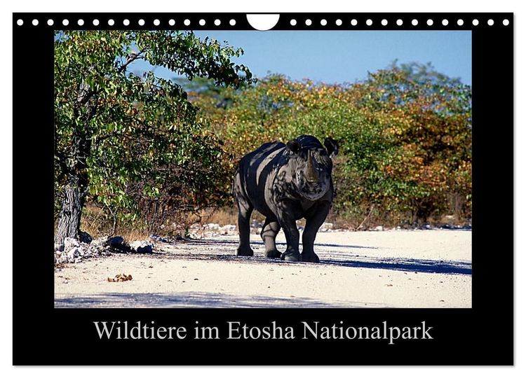 Produktbild: Wildtiere im Etosha Nationalpark (Wandkalender 2027 DIN A4 quer), CALVENDO Monatskalender