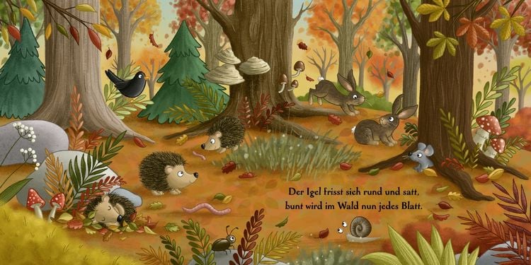 Produktbild: Es wird Herbst hier im Wald