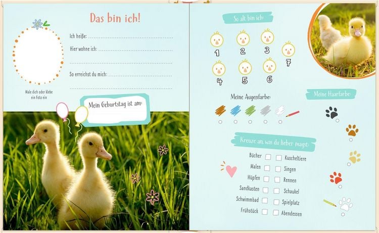 Produktbild: Freundebuch &ndash; Alle meine Freunde