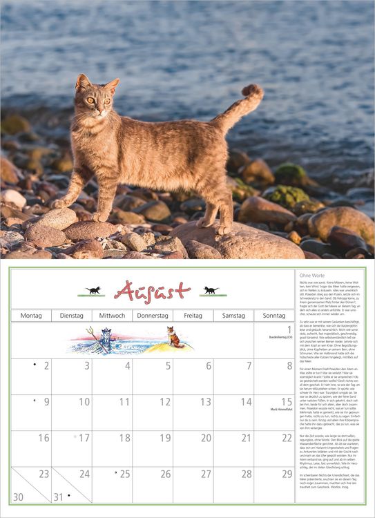 Produktbild: DuMonts Katzen Kalender 2027
