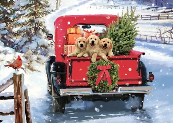 Produktbild: Bringing Home the Tree Deluxe Boxed Holiday Cards (20 Cards, 21 Self-Sealing Envelopes)