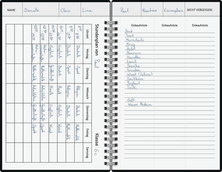 Produktbild: BRUNNEN 1070290027 Buchkalender Familienplaner 2027 "Lions" A5, Papier