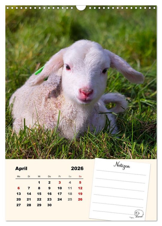 Produktbild: L&auml;mmergl&uuml;ck (Wandkalender 2026 DIN A3 hoch), CALVENDO Monatskalender