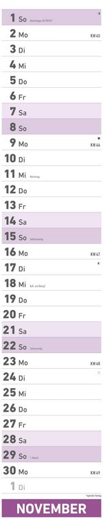 Superplaner 2026 - Streifenkalender 17x85 cm - mit Ringbindung - viel Platz für Notizen - Langplaner - Wandkalender - Küchenkalender - Alpha Edition