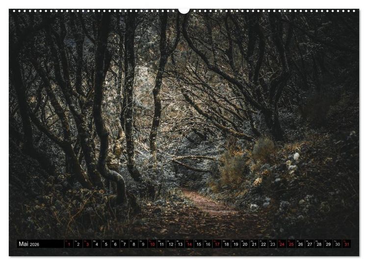 Produktbild: Madeira - Eine Perle des Atlantiks (hochwertiger Premium Wandkalender 2026 DIN A2 quer), Kunstdruck in Hochglanz