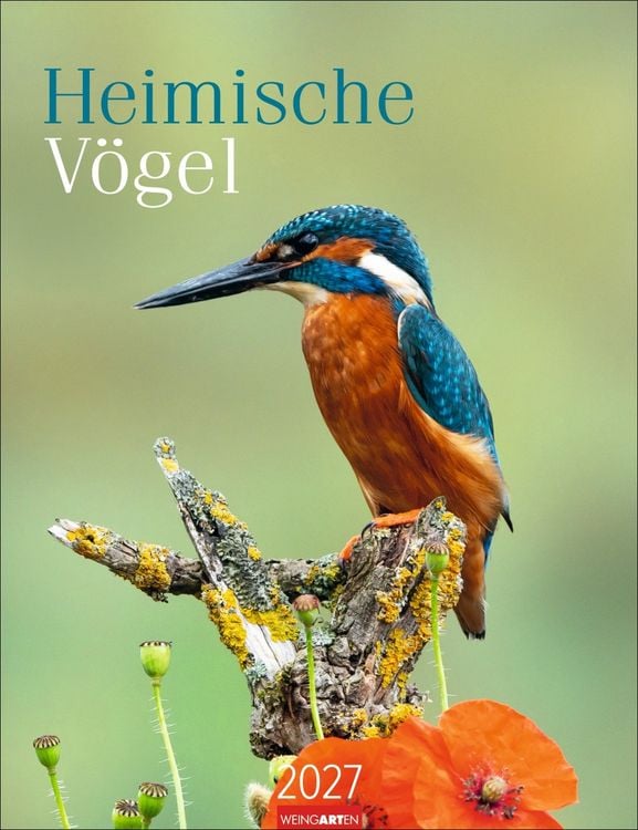 Produktbild: Heimische V&ouml;gel Kalender 2027