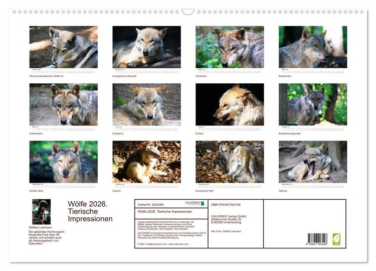 Produktbild: W&ouml;lfe 2026. Tierische Impressionen (Wandkalender 2026 DIN A2 quer), CALVENDO Monatskalender