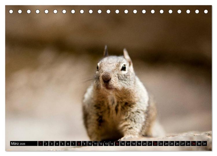 Produktbild: Yosemite - USA (Tischkalender 2026 DIN A5 quer), CALVENDO Monatskalender