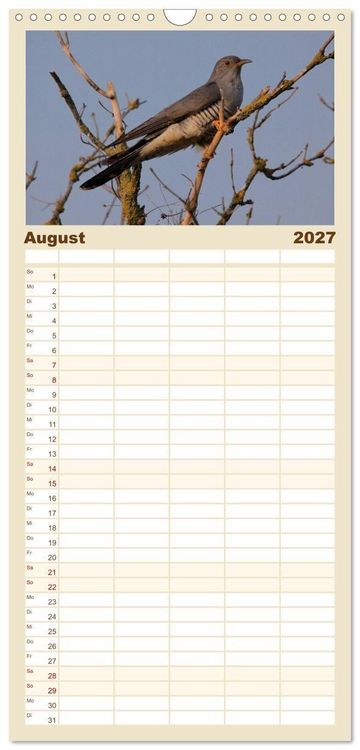 Produktbild: Familienplaner 2027 - V&ouml;gel ganz nah mit 5 Spalten (Wandkalender, 21 x 45 cm) CALVENDO