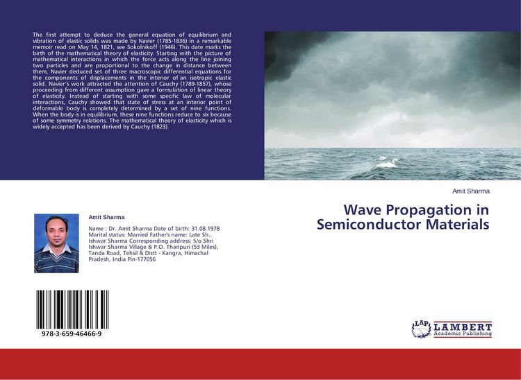 Produktbild: Wave Propagation in Semiconductor Materials