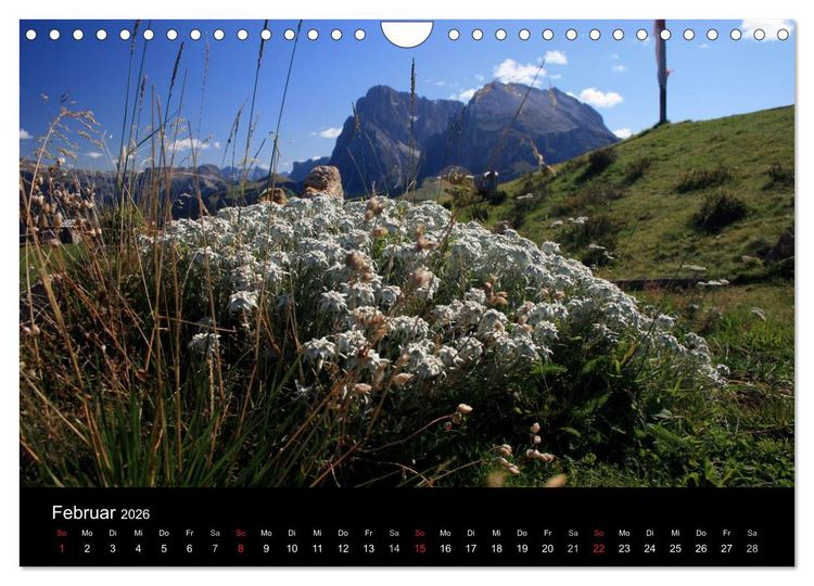 Produktbild: Alpe di Siusi - Seiser Alm (Wandkalender 2026 DIN A4 quer), CALVENDO Monatskalender