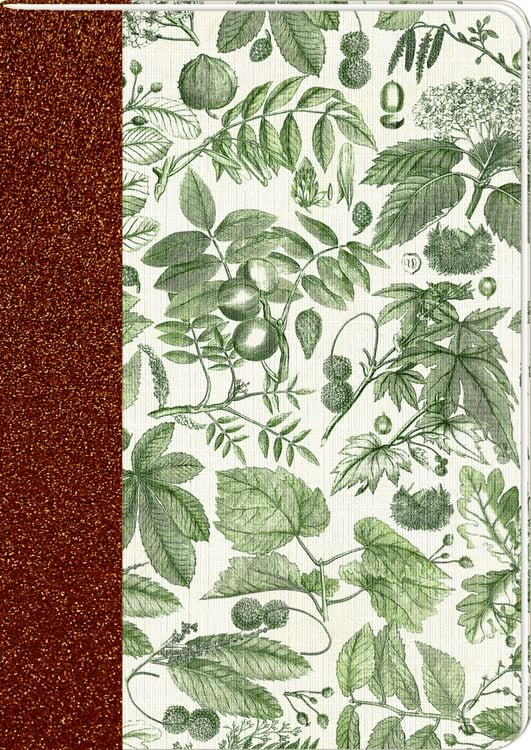 Produktbild: Notizhefte - Sammlung Augustina - DIN A5