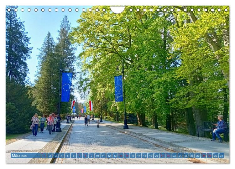 Produktbild: Bad Flinsberg und Umgebung (Wandkalender 2026 DIN A4 quer), CALVENDO Monatskalender