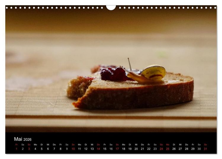 Produktbild: Kleine B&auml;nderschnecke ganz gro&szlig; - Gem&uuml;tlich durch das neue Jahr (Wandkalender 2026 DIN A3 quer), CALVENDO Monatskalender