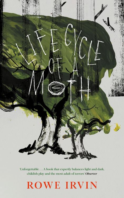 Produktbild: Life Cycle of a Moth