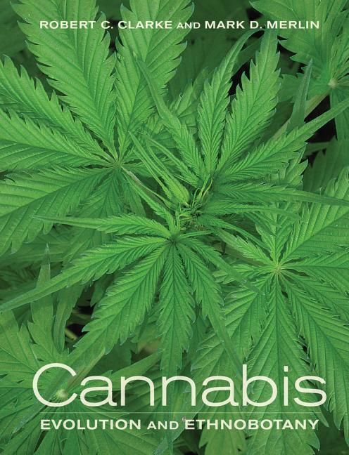 Produktbild: Clarke, R: Cannabis