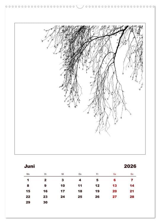 Produktbild: LignoGrafica - Muster und Strukturen der B&auml;ume (Wandkalender 2026 DIN A2 hoch), CALVENDO Monatskalender