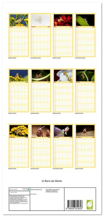 Produktbild: Familienplaner 2026 - Im Bann der Mantis mit 5 Spalten (Wandkalender, 21 x 45 cm) CALVENDO