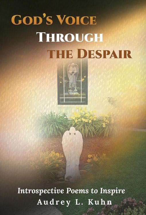 Produktbild: God's Voice Through the Despair
