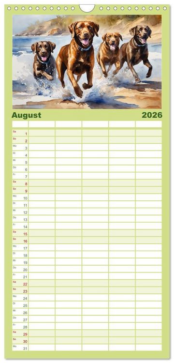 Produktbild: Familienplaner 2026 - Voller Kraft und Energie - Labrador-Retriever mit 5 Spalten (Wandkalender, 21 x 45 cm) CALVENDO