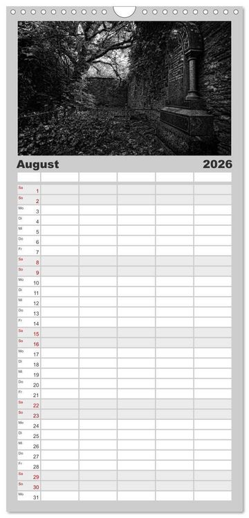 Produktbild: Familienplaner 2026 - Gothic Fantasy mit 5 Spalten (Wandkalender, 21 x 45 cm) CALVENDO