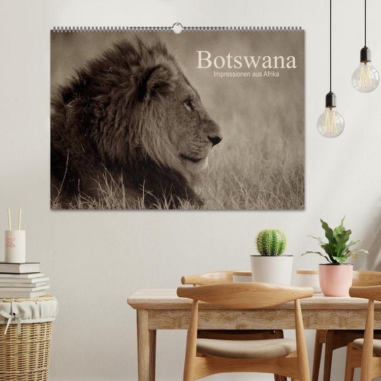 Produktbild: Botswana &ndash; Impressionen aus Afrika (Wandkalender 2026 DIN A2 quer), CALVENDO Monatskalender