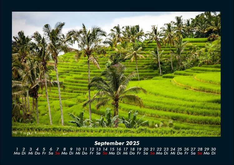 Produktbild: Palmentraum 2025 Fotokalender DIN A4