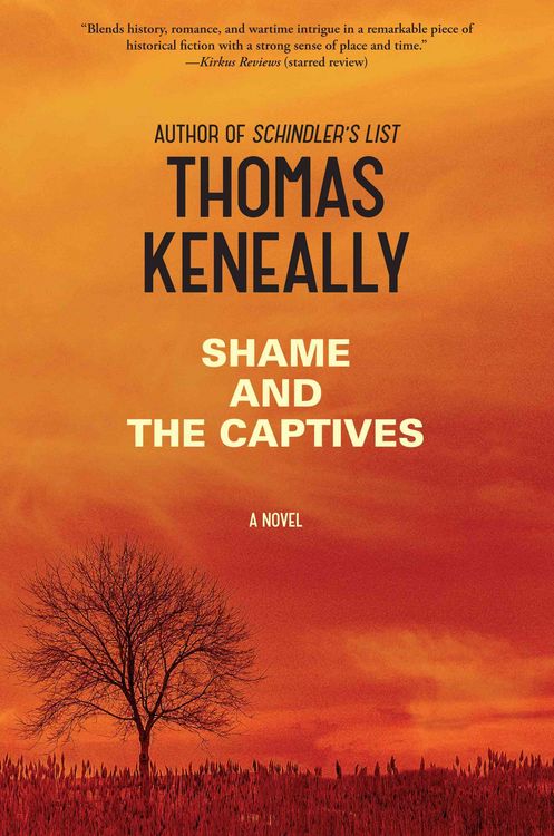 Produktbild: Shame & The Captives