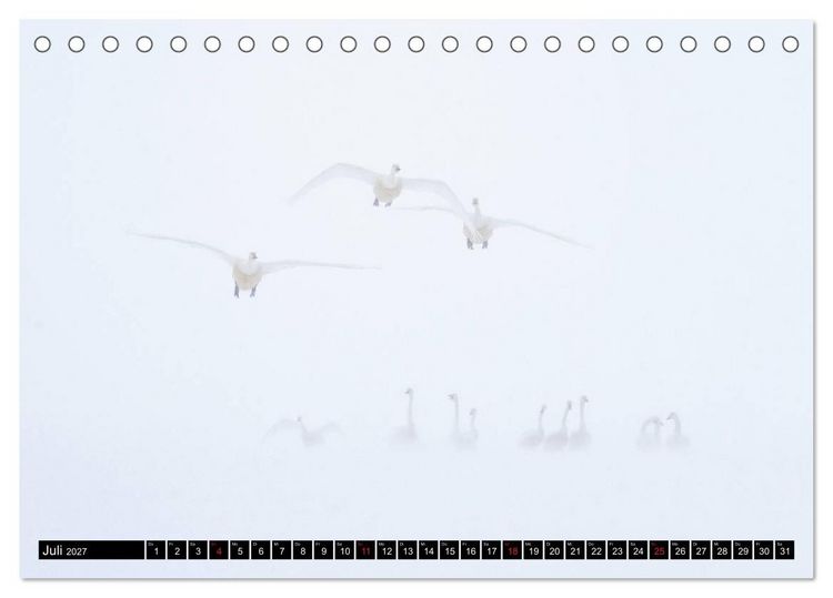 Produktbild: Japanische Vogelwelt im Winter (Tischkalender 2027 DIN A5 quer), CALVENDO Monatskalender