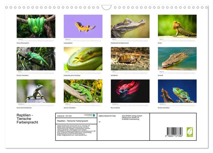 Produktbild: Reptilien - Tierische Farbenpracht (Wandkalender 2026 DIN A3 quer), CALVENDO Monatskalender