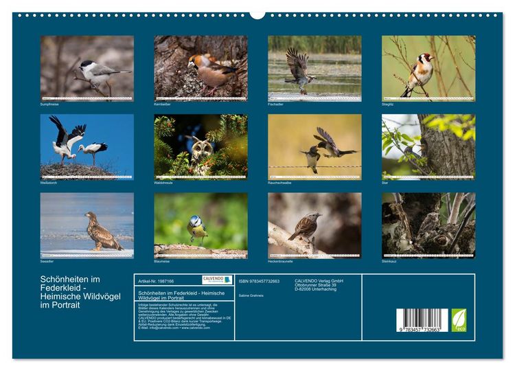 Produktbild: Sch&ouml;nheiten im Federkleid - Heimische Wildv&ouml;gel im Portrait (hochwertiger Premium Wandkalender 2026 DIN A2 quer), Kunstdruck in Hochglanz