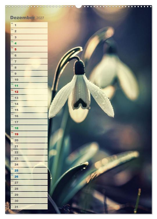 Produktbild: D&uuml;nen und Buhnen (hochwertiger Premium Wandkalender 2027 DIN A2 hoch), Kunstdruck in Hochglanz
