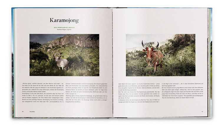 Produktbild: Die Kuh