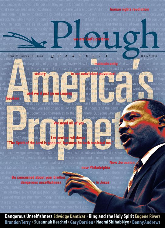 Produktbild: Plough Quarterly No. 16 - America's Prophet