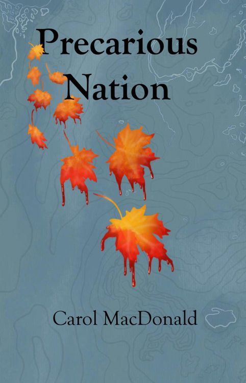 Produktbild: Precarious Nation