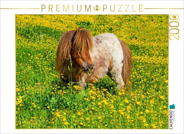 Produktbild: CALVENDO Puzzle Ein Pony in der Sommerwiese in Radstadt | 2000 Teile Lege-Gr&ouml;&szlig;e 90x67cm Foto-Puzzle f&uuml;r gl&uuml;ckliche Stunden