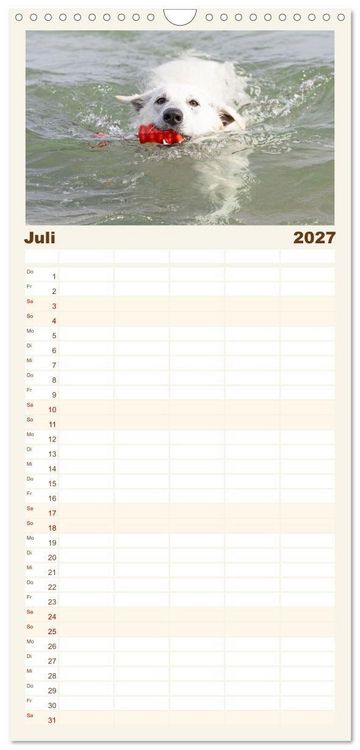 Produktbild: Familienplaner 2027 - Berger Blanc Suisse - Weggef&auml;hrten auf 4 Pfoten mit 5 Spalten (Wandkalender, 21 x 45 cm) CALVENDO