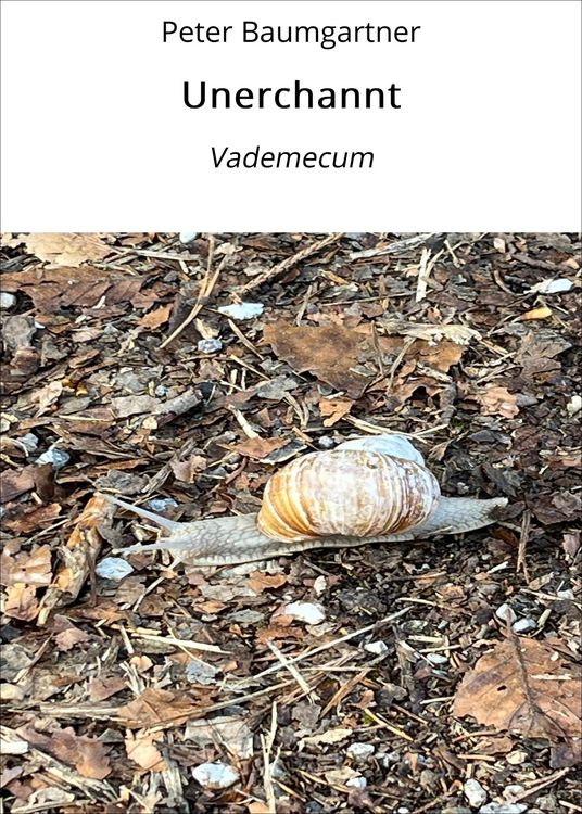 Produktbild: Unerchannt