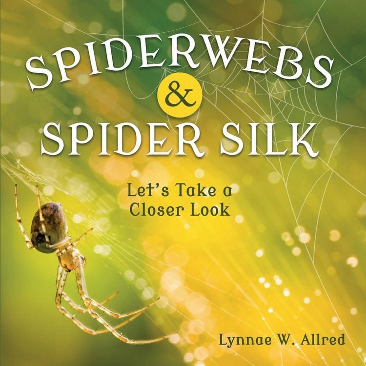 Produktbild: Spiderwebs and Spider Silk
