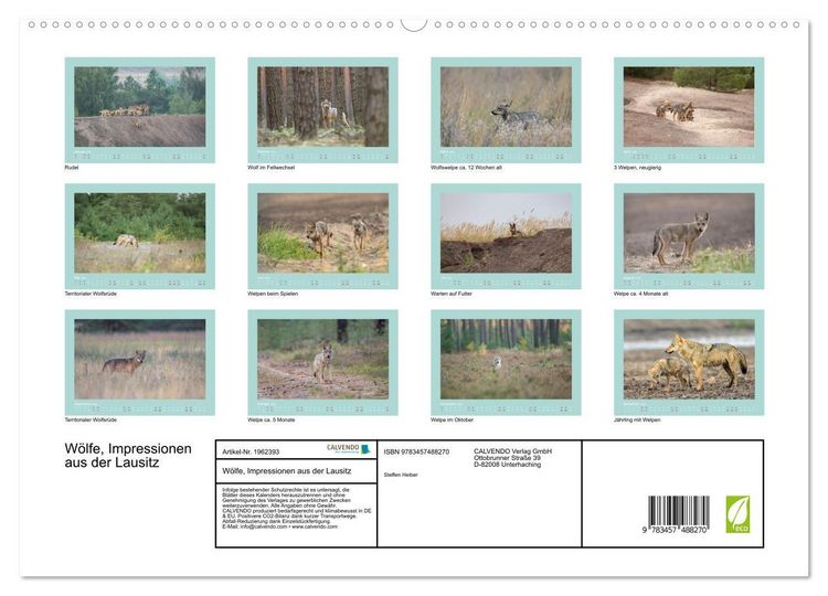 Produktbild: W&ouml;lfe, Impressionen aus der Lausitz (hochwertiger Premium Wandkalender 2026 DIN A2 quer), Kunstdruck in Hochglanz