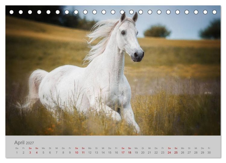 Produktbild: Pferde - Anmut, Eleganz, Magie (Tischkalender 2027 DIN A5 quer), CALVENDO Monatskalender