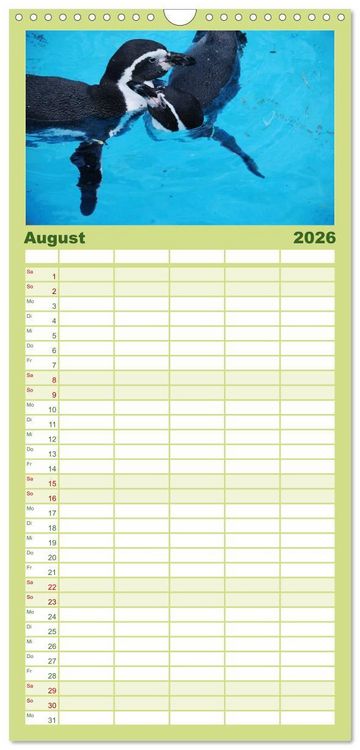 Produktbild: Familienplaner 2026 - Pinguine 2026 mit 5 Spalten (Wandkalender, 21 x 45 cm) CALVENDO
