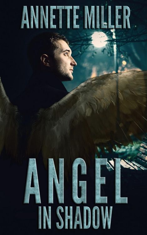 Produktbild: Angel in Shadow